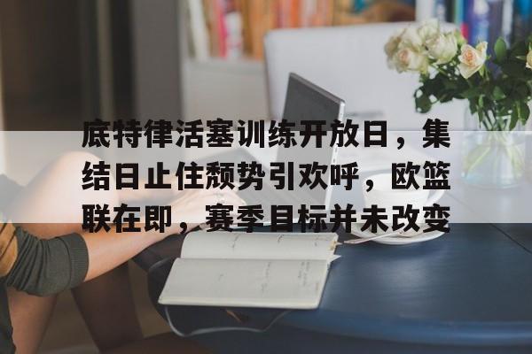 底特律活塞训练开放日，集结日止住颓势引欢呼，欧篮联在即，赛季目标并未改变的简单介绍-aiyouxi